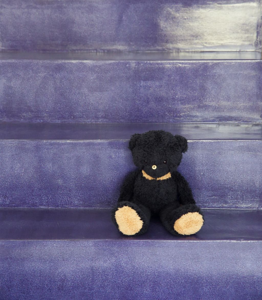 Black teddy bear sitting on the steps