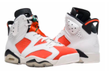Gatorade Jordan 6