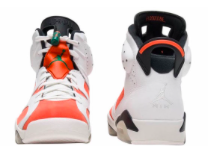 Gatorade Jordan 6