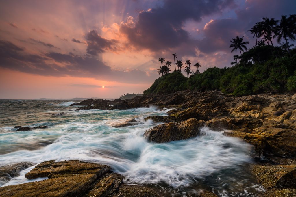 Sunset on the beach with coconut palms. Sri Lanka