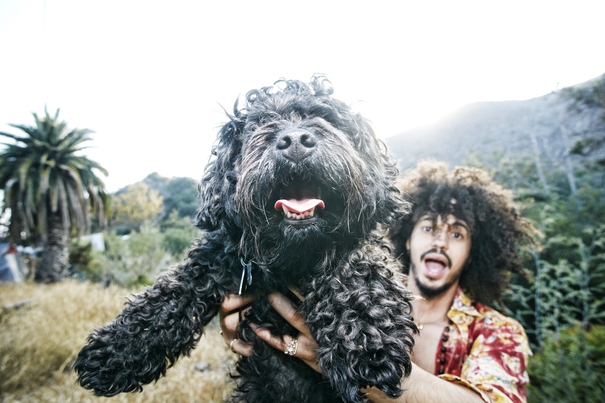 Mixed Race man holding shaggy dog