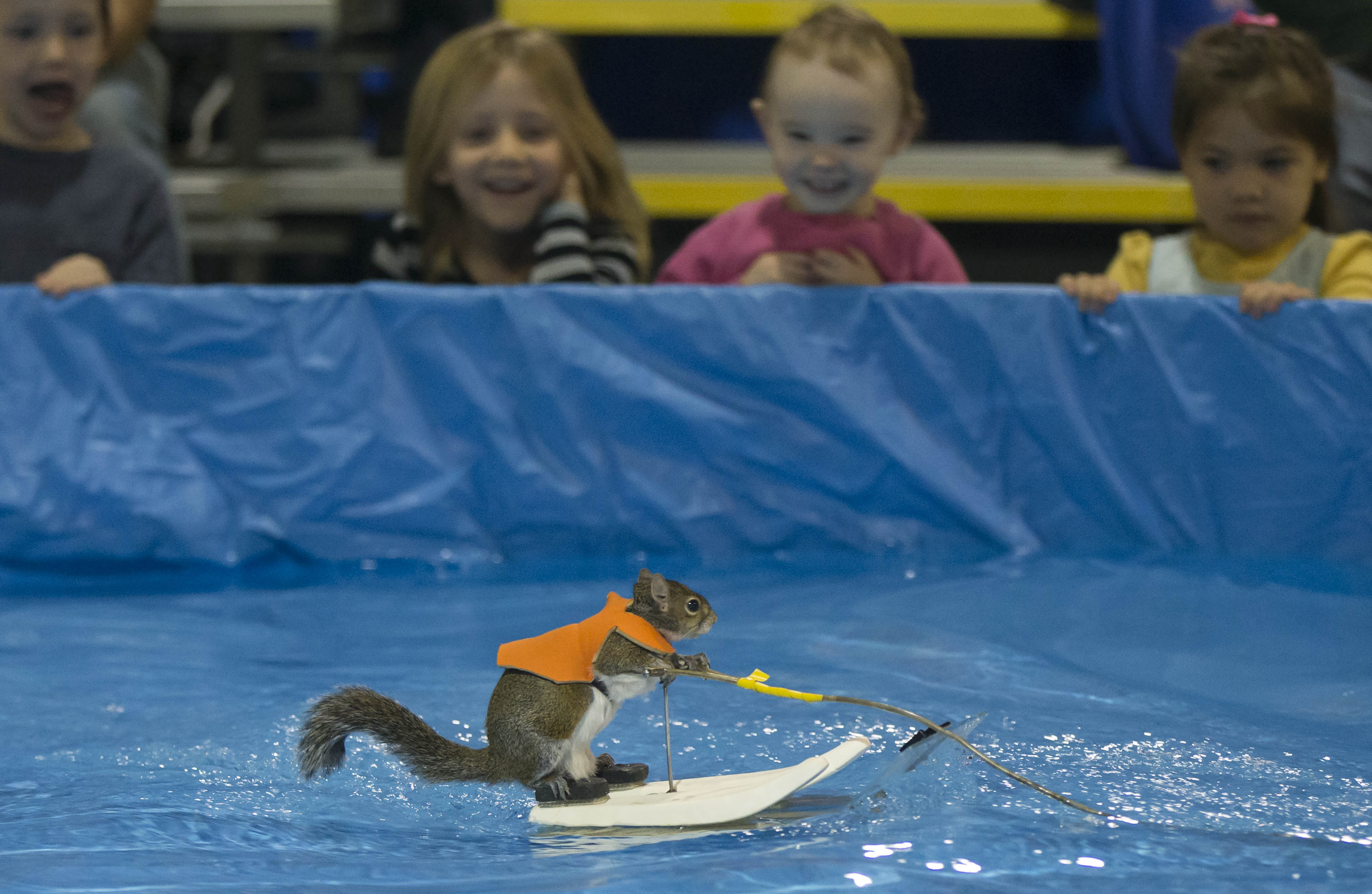 CANADA-TORONTO-SKIING SQUIRREL