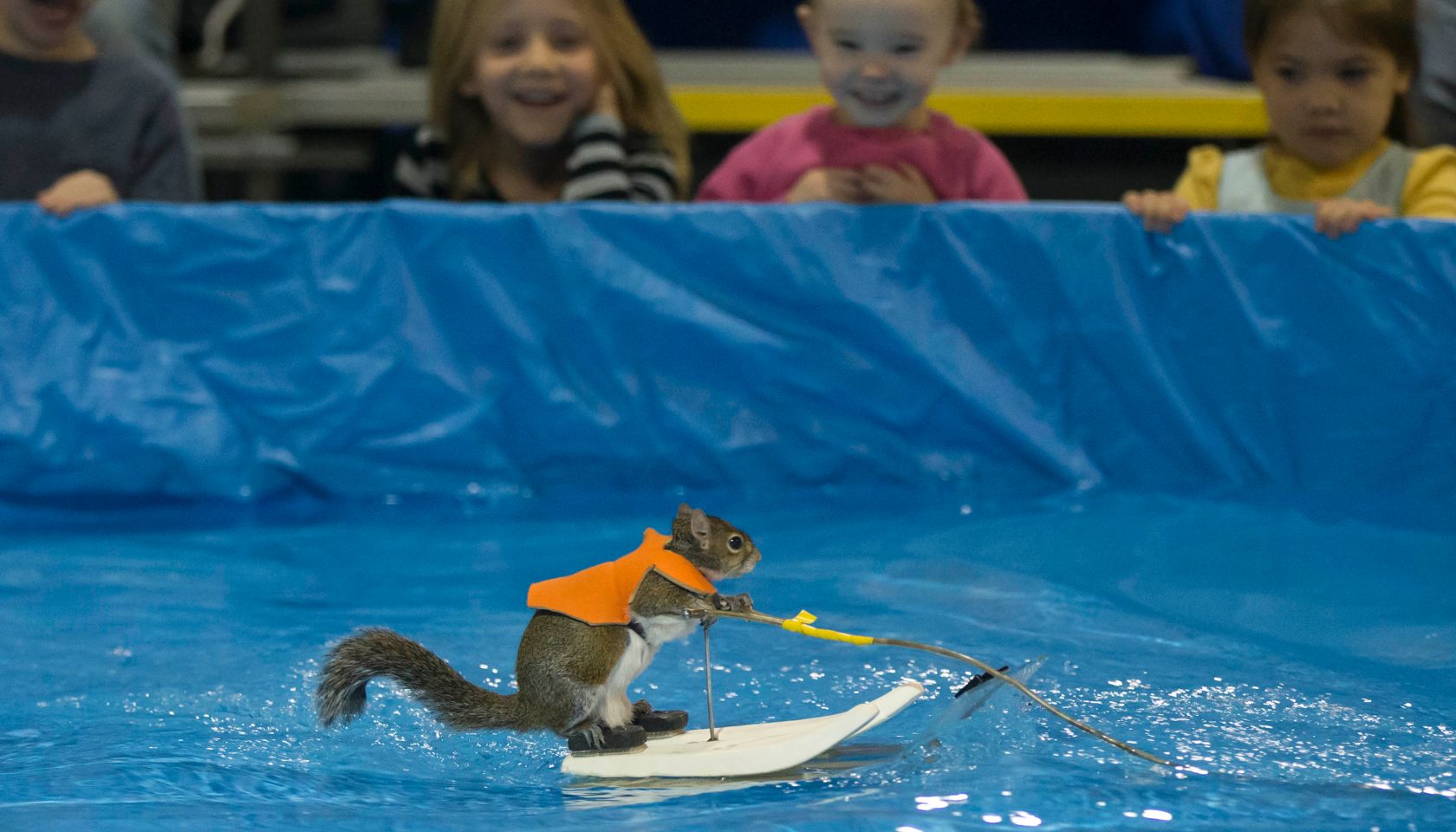 CANADA-TORONTO-SKIING SQUIRREL