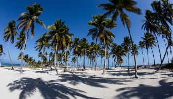 Beach, Belize