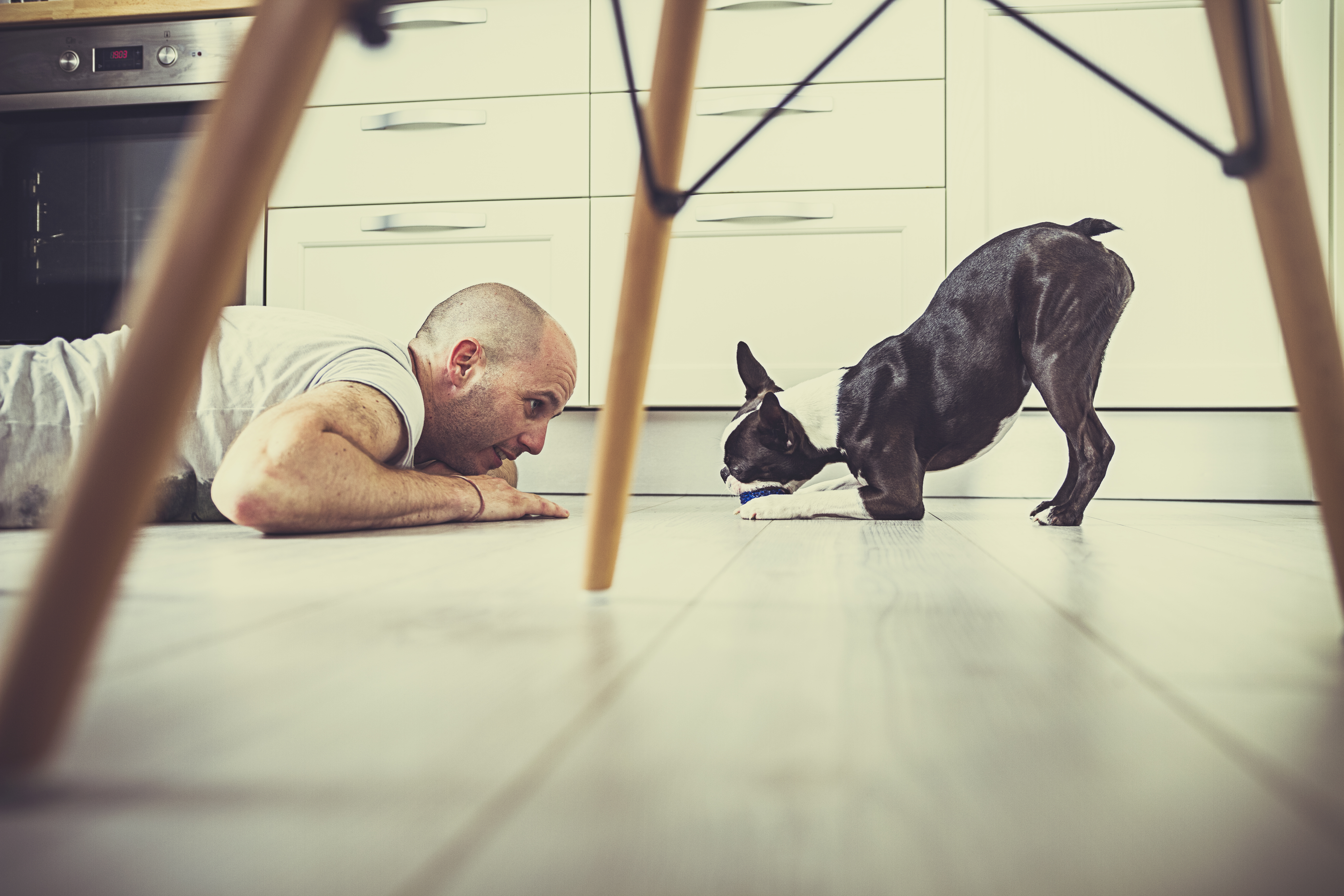 Playful dog and her owner on the floor