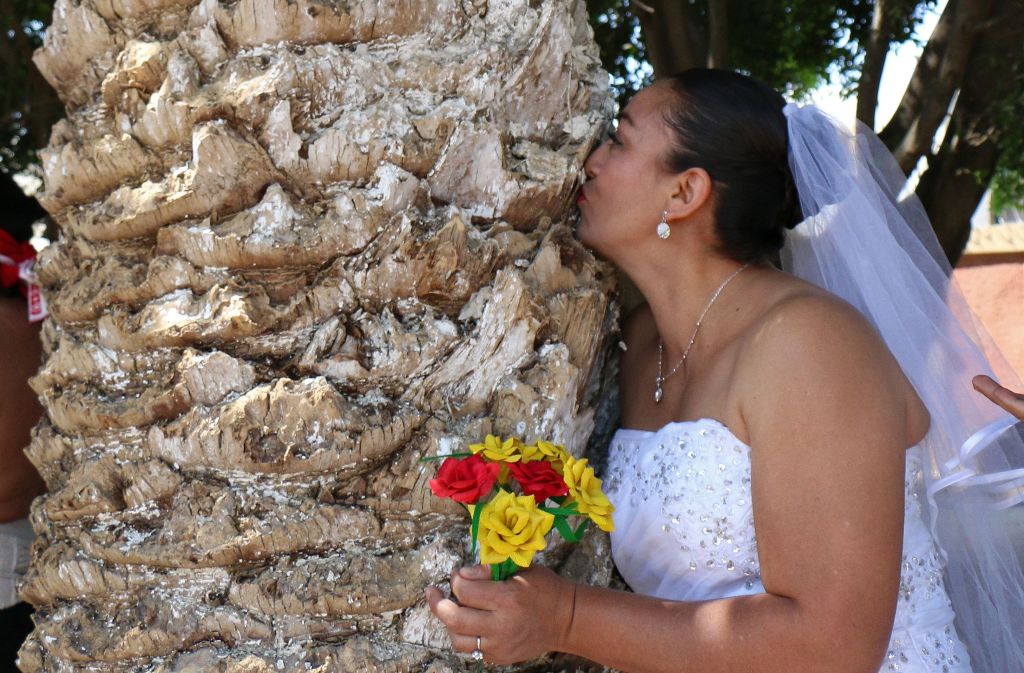 MEXICO-ENVIRONMENT-TREE-MARRIAGE