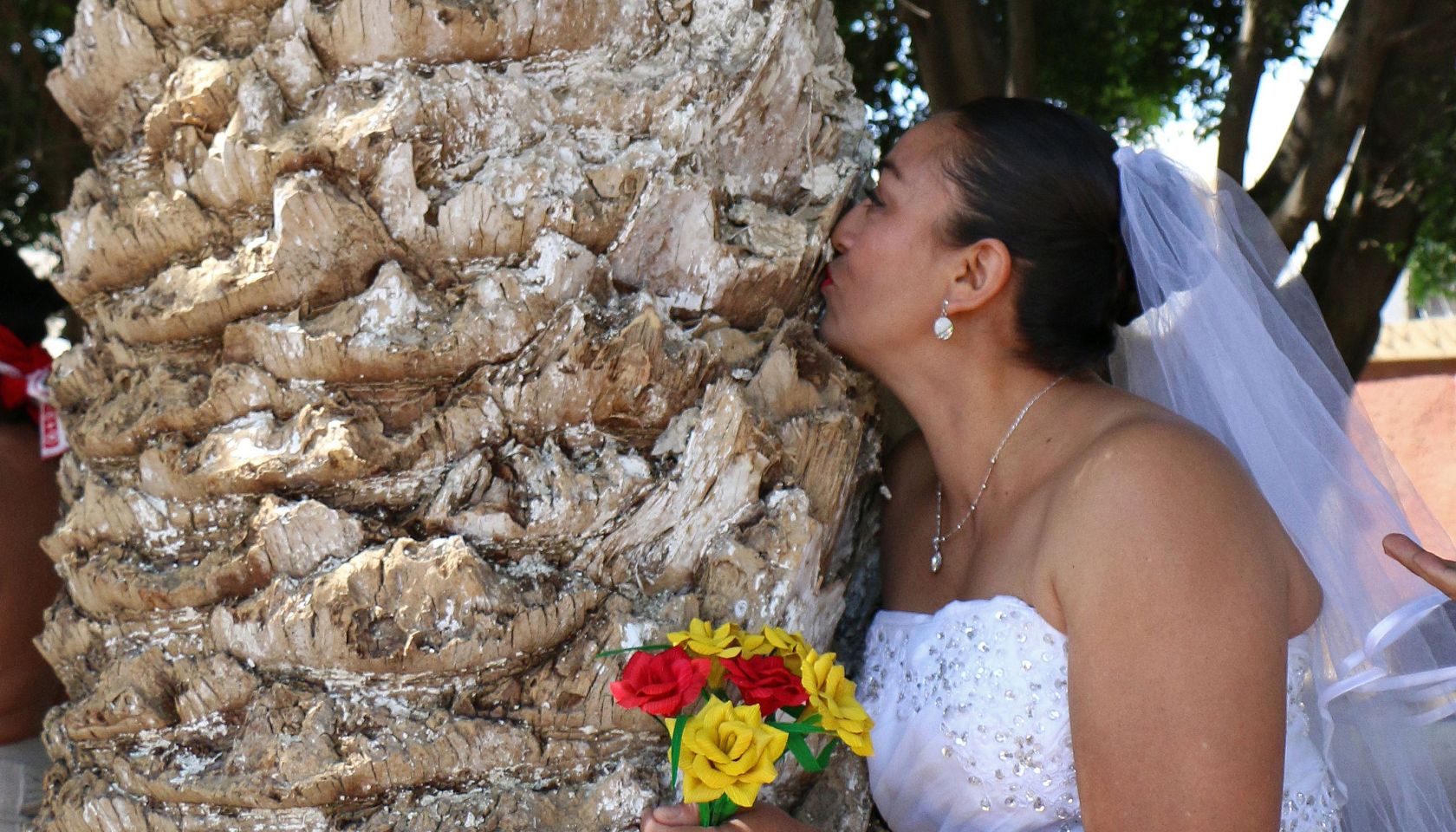 MEXICO-ENVIRONMENT-TREE-MARRIAGE