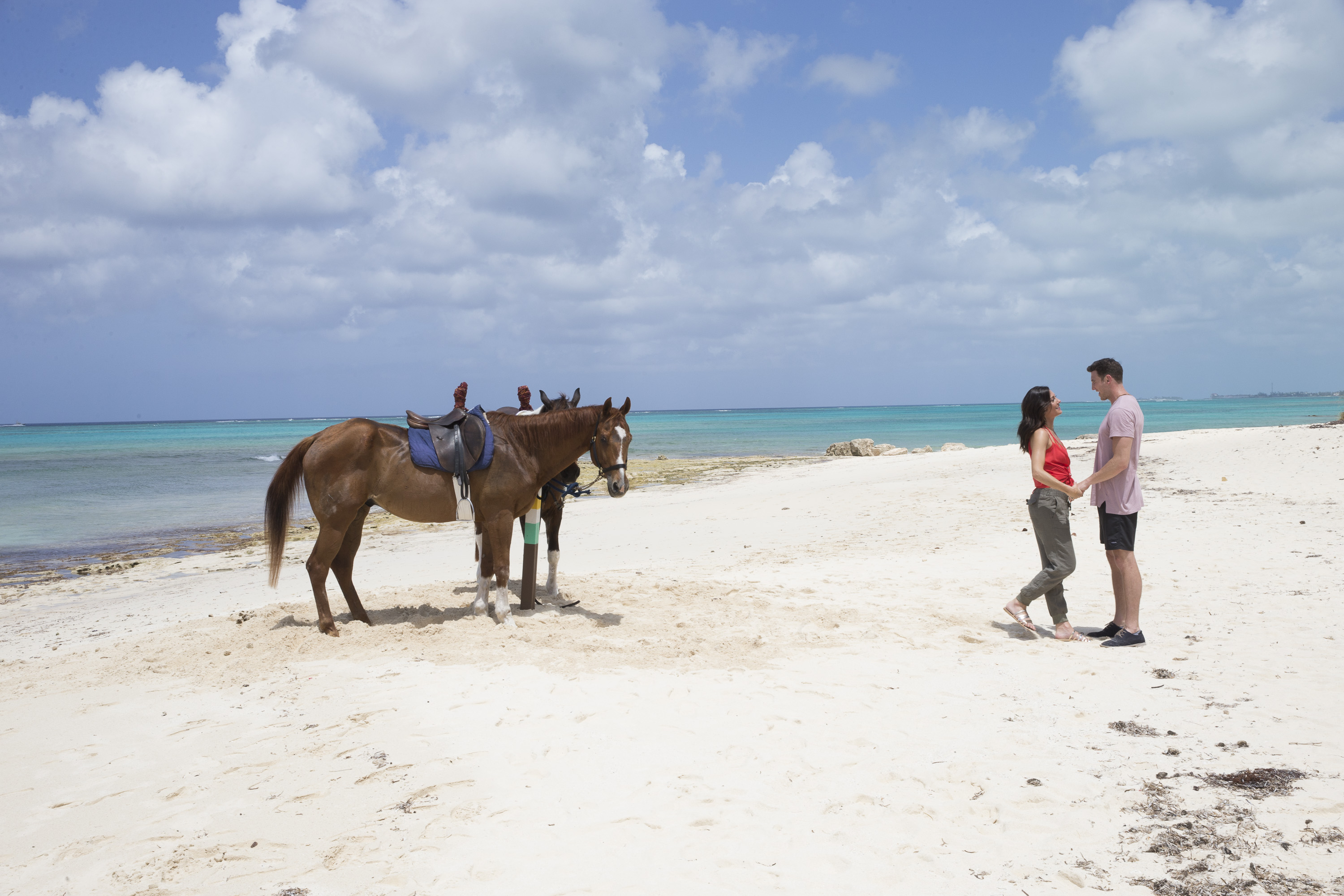 ABC's 'The Bachelorette' - Season 14