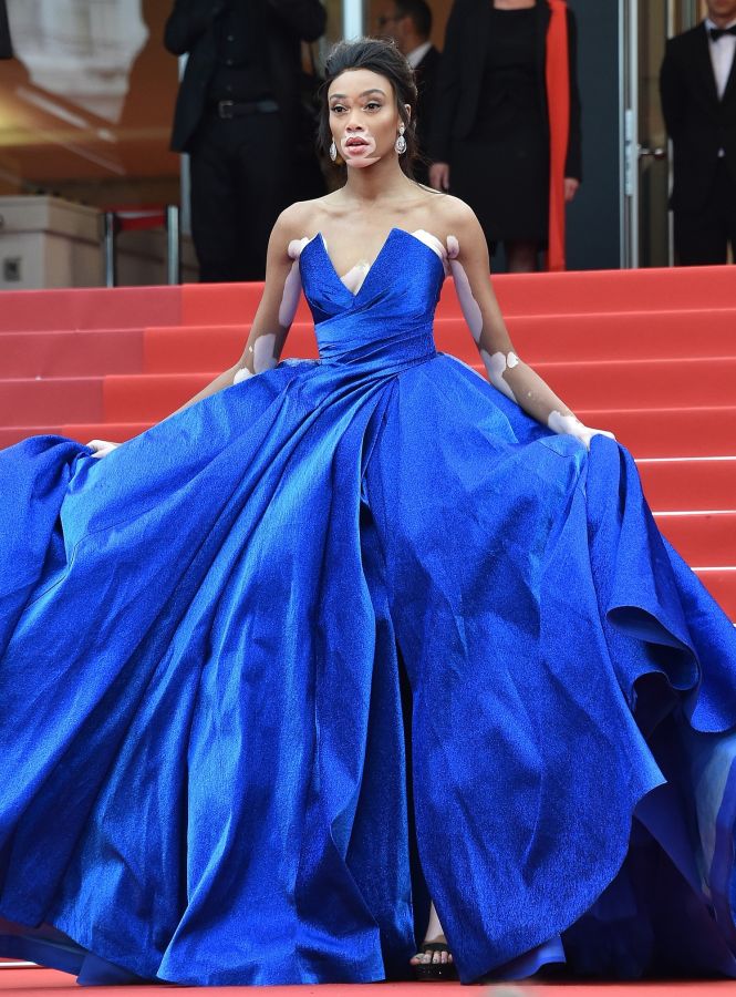 2017 Cannes Film Festival.