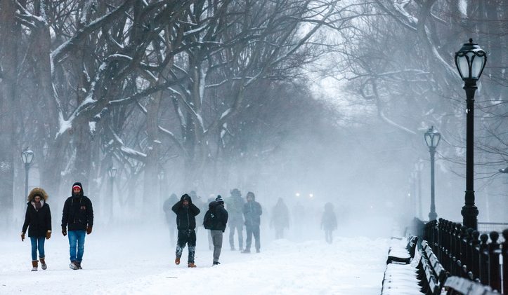 Snowstorm in Central Park