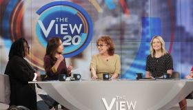 meghan mccain disrespects joy behar and the Internet slowly dissects her conservative mediocrity