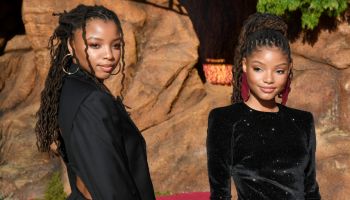 Premiere Of Disney's "The Lion King" - Red Carpet