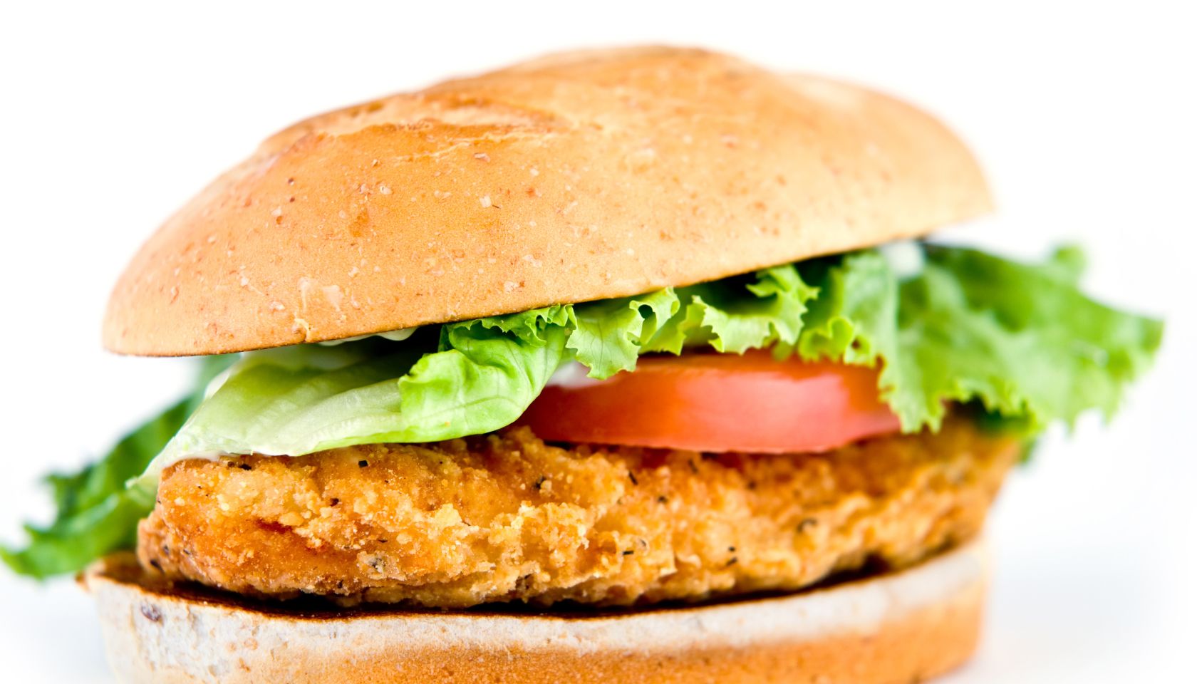 chicken sandwich