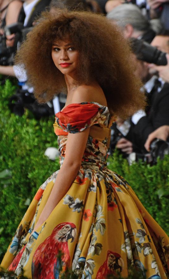 The Met Gala 2017