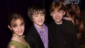 Harry Potter and the Sorcerer's Stone N.Y. Premiere