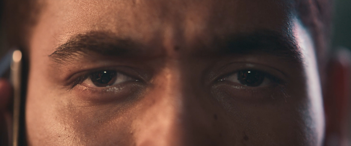 Check It Out This Fall