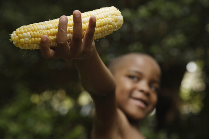 African American boy holding ear of corn