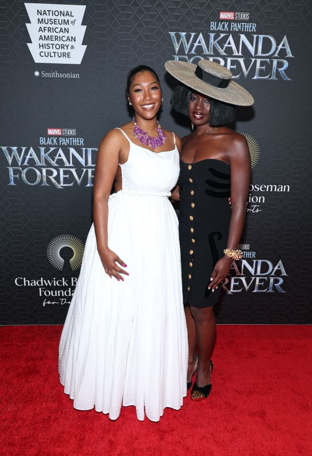 Wakanda Forever at the Smithsonian