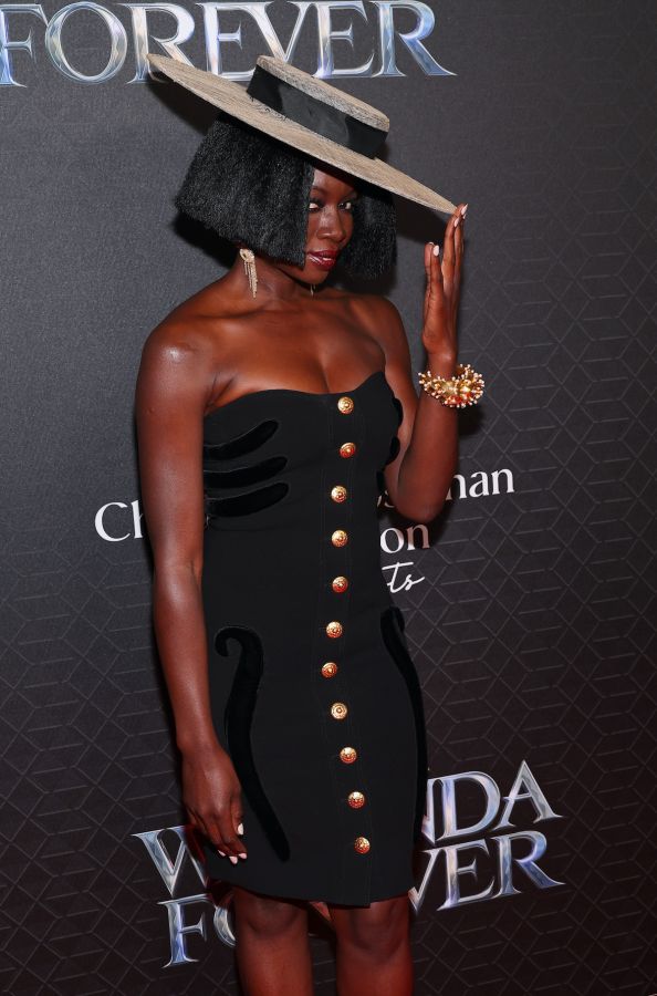 Wakanda Forever at the Smithsonian