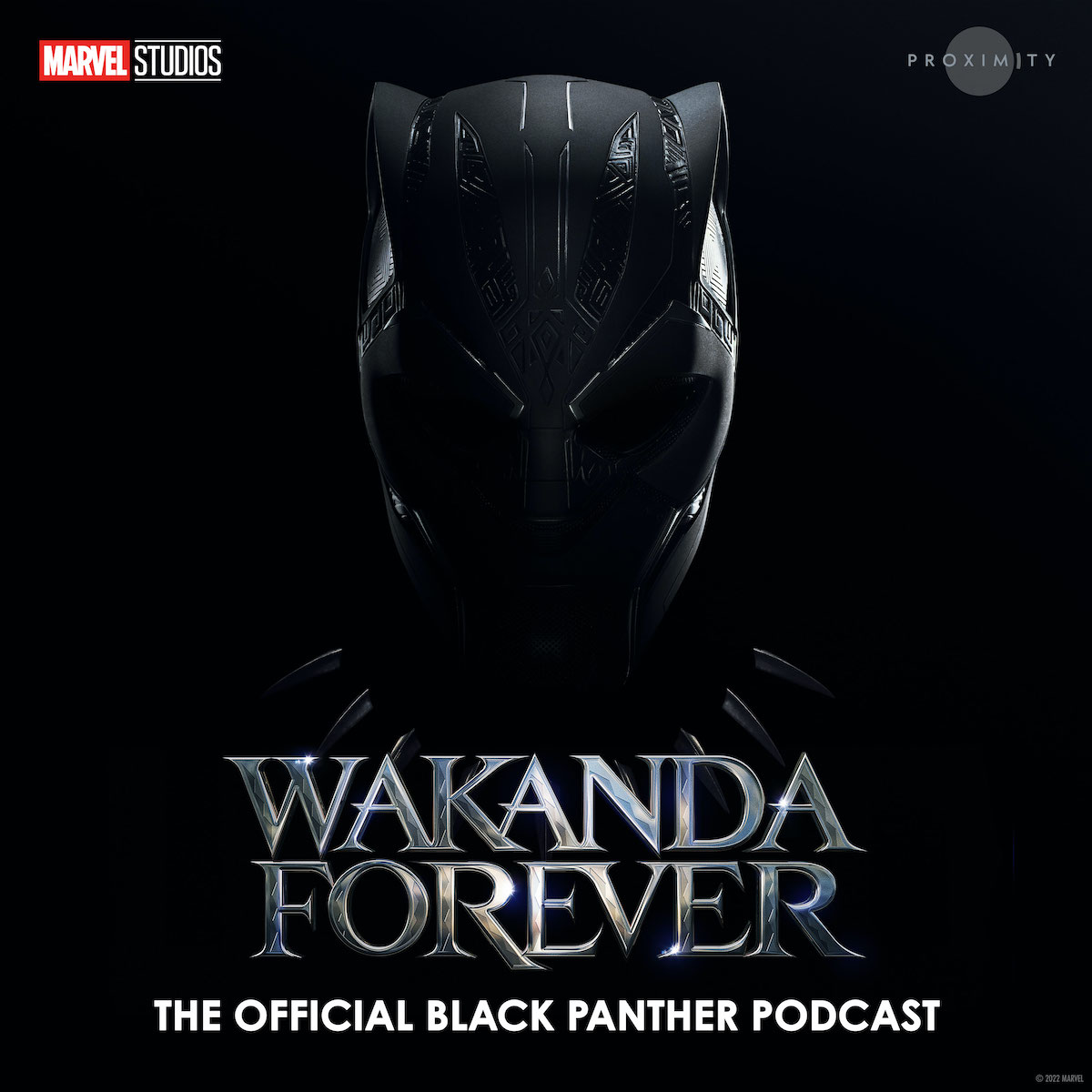 Black Panther Wakanda Podcast art Art
