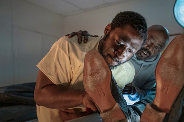 Not The Dead Man's Gators