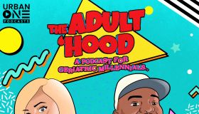 The Adult Hood assets