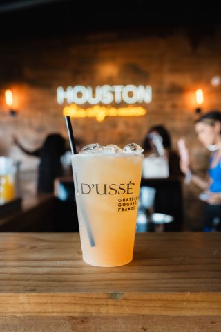 Rapsody Guest Stars and Performs at D'USSÉ Day Party Houston Event