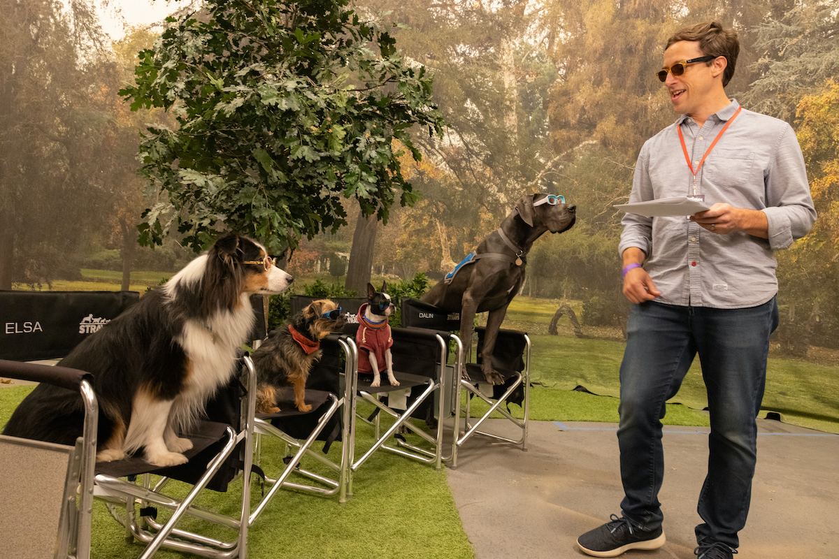 Strays first look images