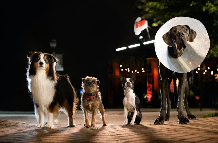 This Looks Like An Album Cover. Lol