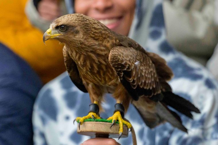 Adventures By Disney in South Africa: Spiers Wine Farm