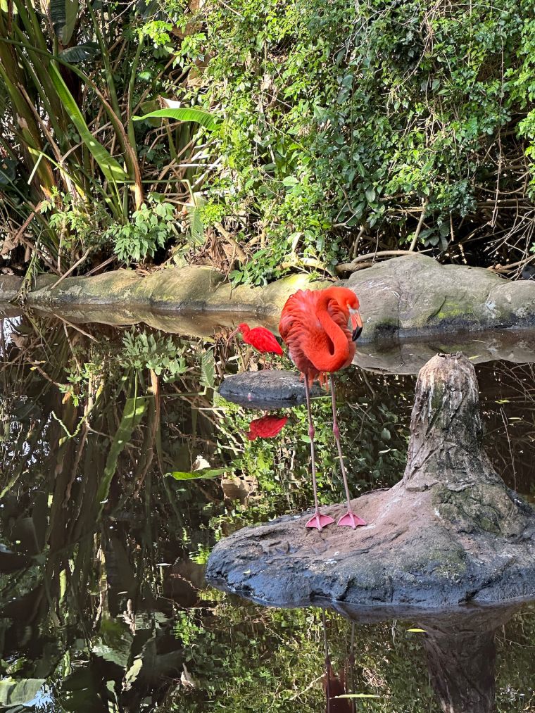 Adventures By Disney South Africa: Birds Of Eden