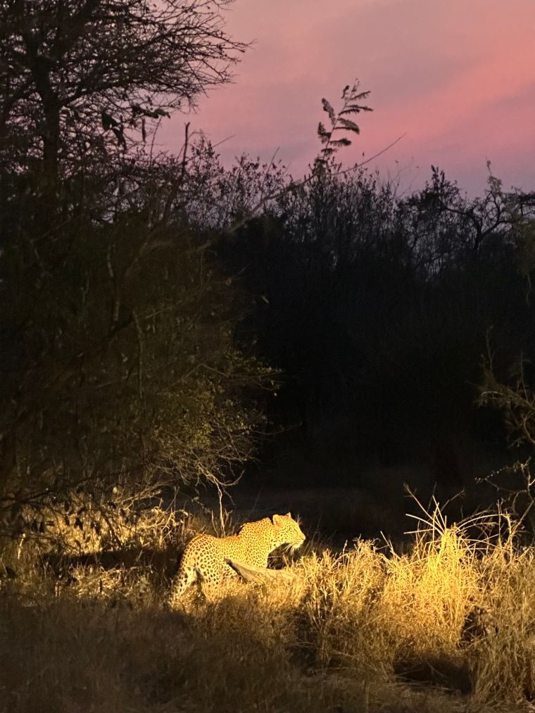 Adventures By Disney South Africa: Kapama Game Reserve