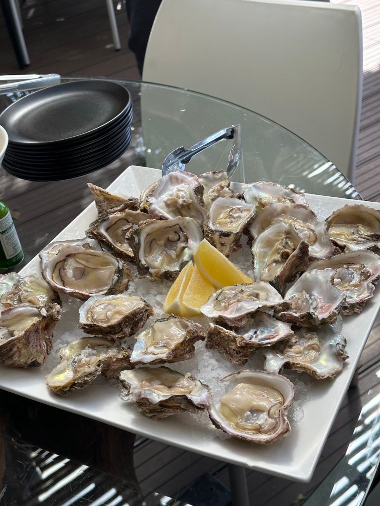 Adventures By Disney South Africa: Kapama Game Reserve