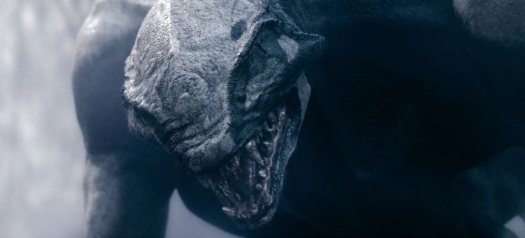 Literally...All Kinds. Lol