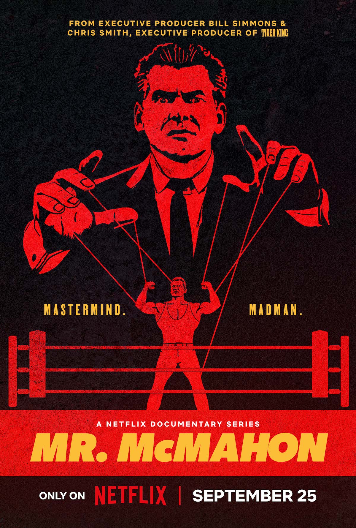 Mr. McMahon Assets