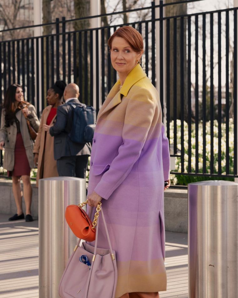 Cynthia Nixon (Miranda Hobbes) 