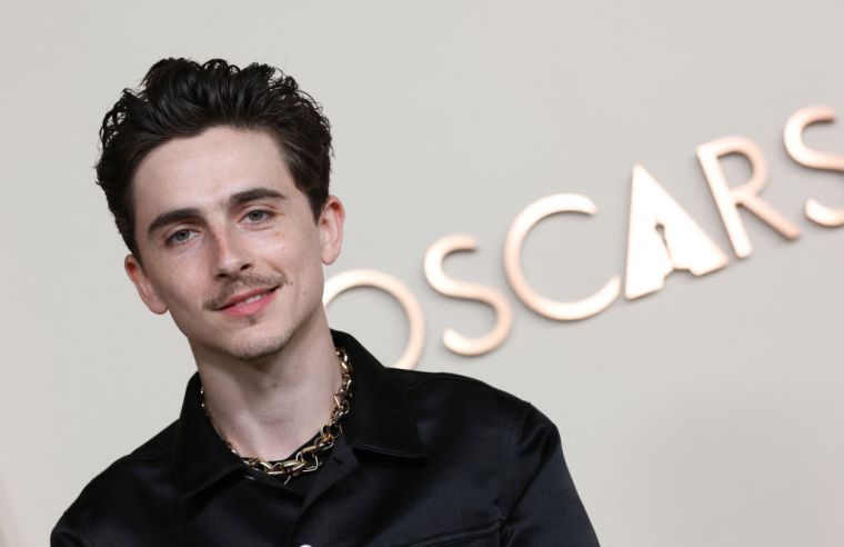 Timothee Chalamet (A Complete Unknown)
