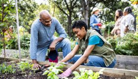 Father and adult daughter working in community garden