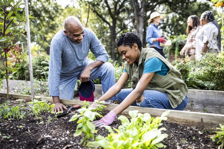 Father and adult daughter working in community garden
