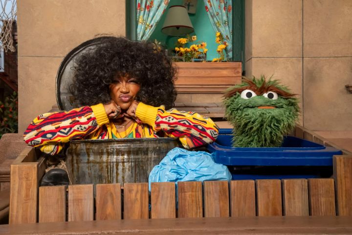 Twinning With Oscar The Grouch