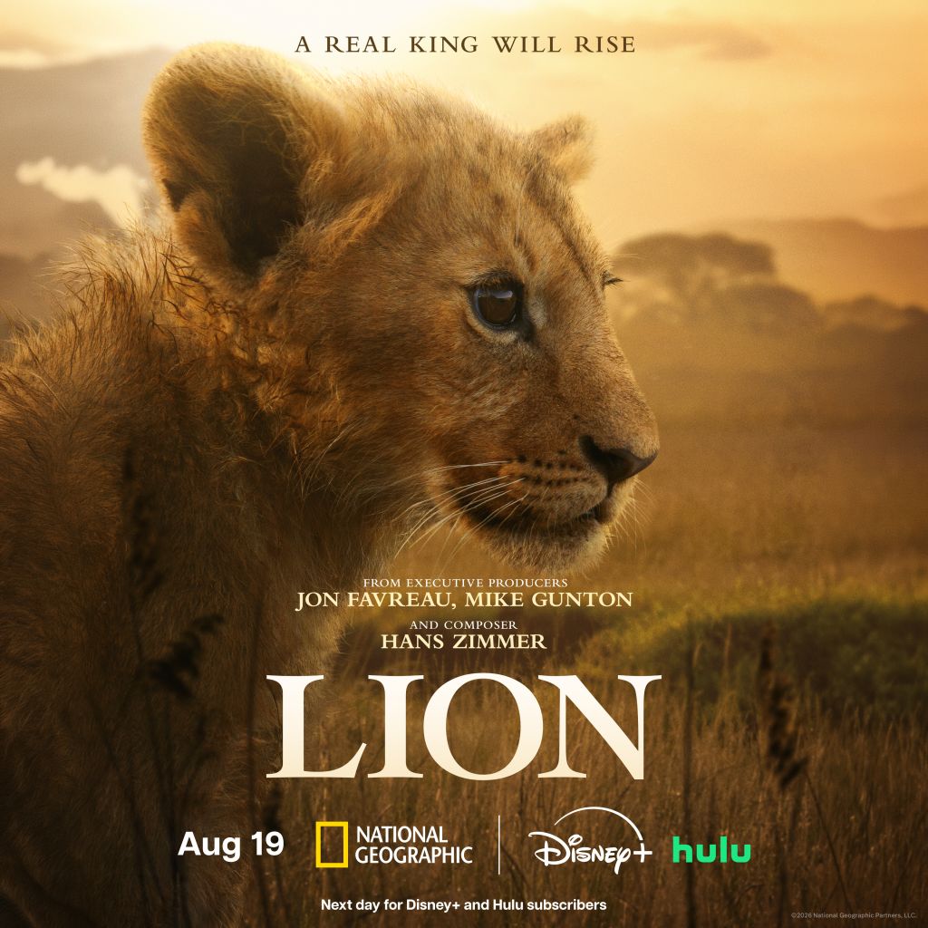 A close-up portrait of a majestic lion against a scenic golden sunset landscape. The text overlay reads "A REAL KING WILL RISE" and lists the film credits for "LION" from National Geographic, Disney+, and Hulu.