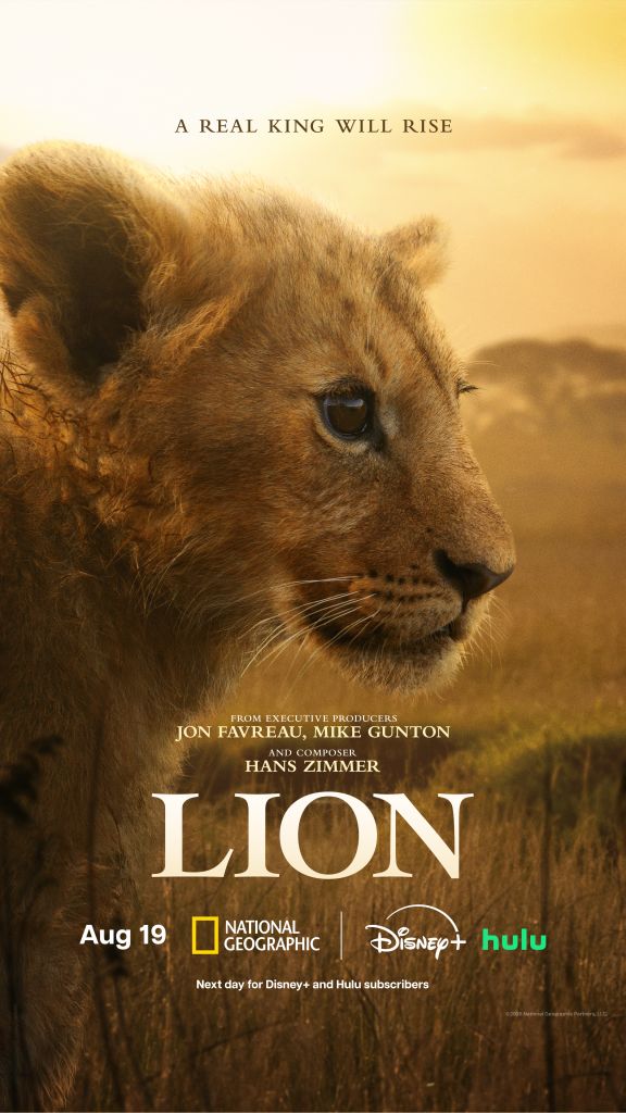 Close-up of a majestic lion's face against a golden sunset backdrop. Text overlay reads "A REAL KING WILL RISE" and lists the film's producers and composer.