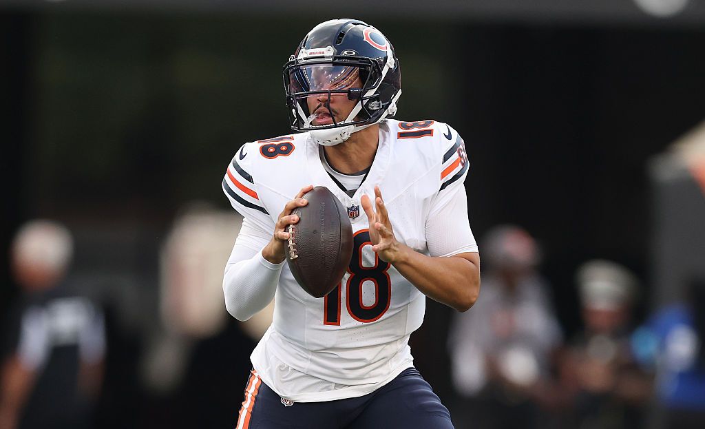 Chicago Bears v Cincinnati Bengals